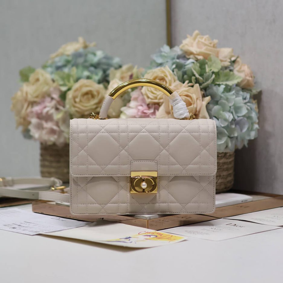 medium D*or ange bag