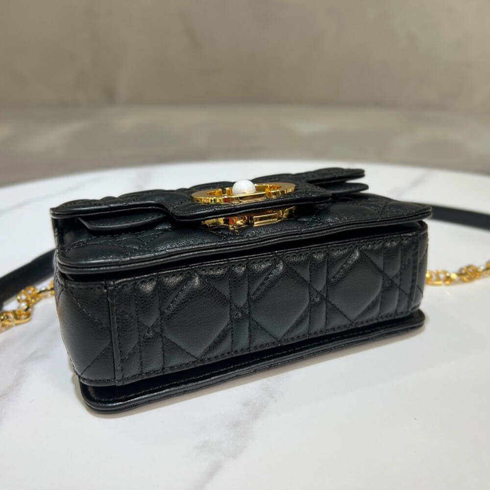 small D*or jolie handbag
