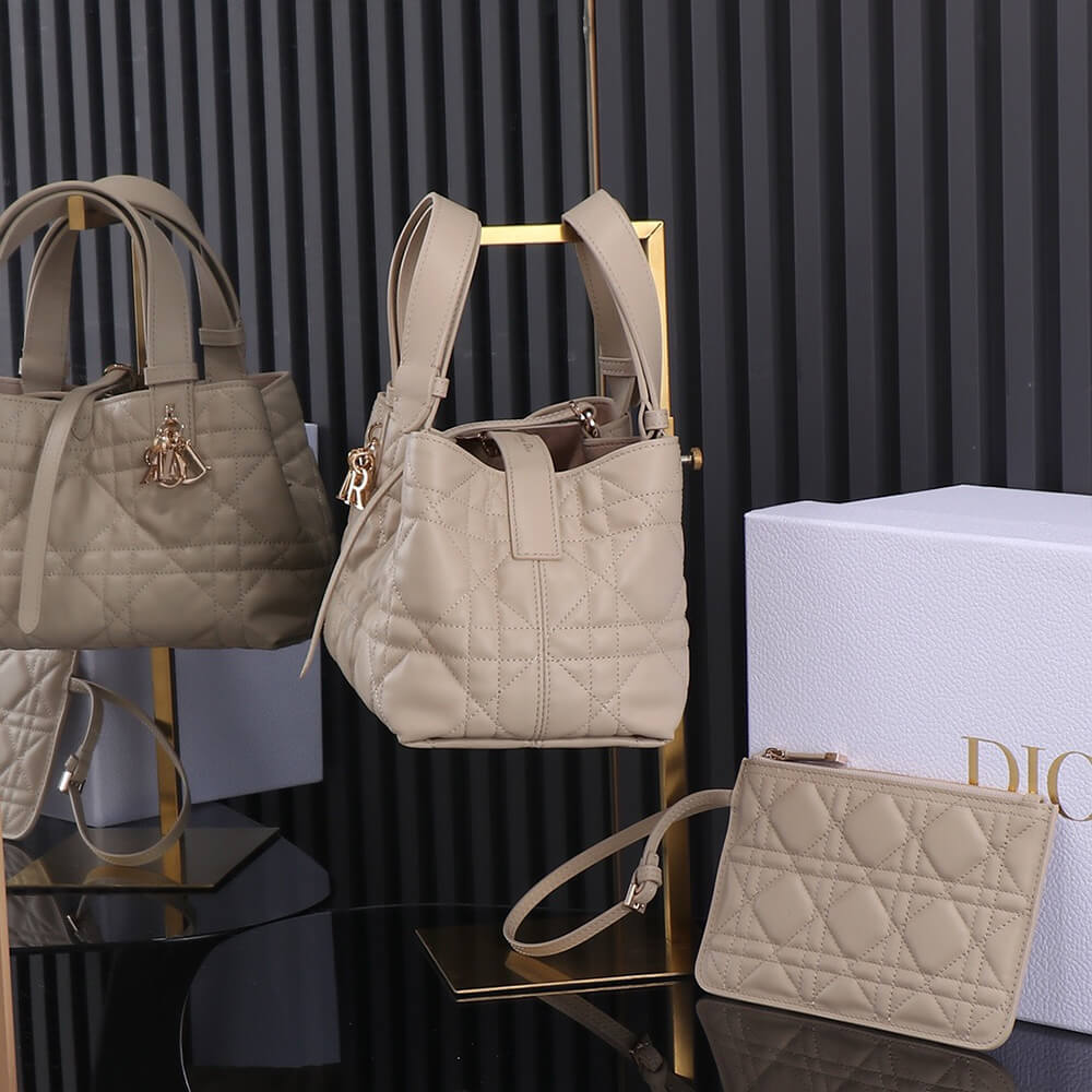 small D*or toujours bag(high-end grade)